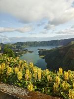 Wilder Ingwer &ndash; &copy; Britta Martini-Miles (Eberhardt TRAVEL)