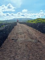 Weingebiet Lajido &ndash; &copy; Britta Martini-Miles (Eberhardt TRAVEL)