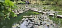 Sao Miguel, Furnas, Terranostra Park  &ndash; &copy; Ria Heilmann (Eberhardt TRAVEL)