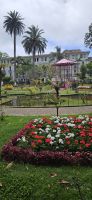 Angra, Stadtpark mit Azoris Hotel &ndash; &copy; Ria Heilmann (Eberhardt TRAVEL)