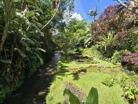 Park Terra Nostra &ndash; &copy; Katrin Jähne (Eberhardt TRAVEL)