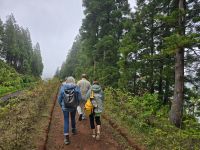 Auf dem Weg zum Aussichtspunkt Miradouro do Cerrado das Freiras auf Sao Miguel