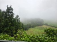 In Nebel gehüllte Bergwelt auf Sao Miguel &ndash; &copy; Katrin Jähne (Eberhardt TRAVEL)