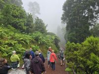 Naturpark Caldera Velha &ndash; &copy; Katrin Jähne (Eberhardt TRAVEL)