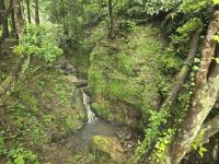 Naturpark Caldera Velha &ndash; &copy; Katrin Jähne (Eberhardt TRAVEL)