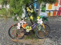 Stadtrundgang durch Horta 