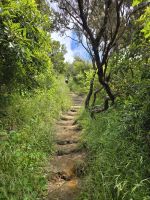 Wanderung auf den Vulkanberg Monte do Guia &ndash; &copy; Katrin Jähne (Eberhardt TRAVEL)