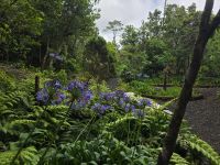 Waldpark Capelo
