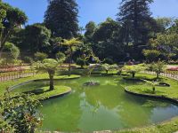 Stadtpark in Angra &ndash; &copy; Katrin Jähne (Eberhardt TRAVEL)