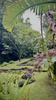 Gartenlandschaft - Povoação - Azoren - Portugal.jpeg