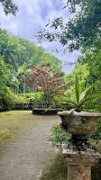 Gartenlandschaft - Povoação - Azoren - Portugal.jpeg &ndash; &copy; Manuel González Urrutia (Eberhardt TRAVEL)