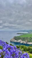 Blaue Blumen - Ribeira Grande - Azoren - Portugal.jpeg &ndash; &copy; Manuel González Urrutia (Eberhardt TRAVEL)