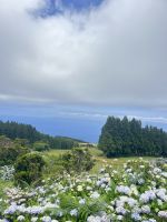 São Roque Do Pico - Azoren - Portugal.jpeg &ndash; &copy; Manuel González Urrutia (Eberhardt TRAVEL)