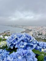 Blaue Blumen - Praia da Vitória - Azoren - Portugal.jpeg &ndash; &copy; Manuel González Urrutia (Eberhardt TRAVEL)