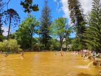 Thermalbad im Terra-Nostra-Park, Sao Miguel  &ndash; &copy; Monika Cortese (Eberhardt TRAVEL)