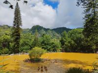 Thermalbad im Terra-Nostra-Park, Sao Miguel  &ndash; &copy; Monika Cortese (Eberhardt TRAVEL)