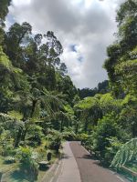Caldeira Velha, São Miguel  &ndash; &copy; Monika Cortese (Eberhardt TRAVEL)