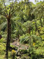 Caldeira Velha, São Miguel &ndash; &copy; Monika Cortese (Eberhardt TRAVEL)