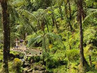 Caldeira Velha, São Miguel &ndash; &copy; Monika Cortese (Eberhardt TRAVEL)