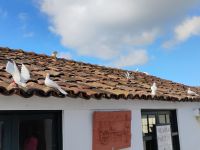 Cerâmica Vieira, São Miguel  &ndash; &copy; Monika Cortese (Eberhardt TRAVEL)