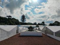 Besuch in der Ananasplantage  &ndash; &copy; Monika Cortese (Eberhardt TRAVEL)
