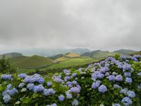 Miradouro do Pico do Carvão, São Miguel  &ndash; &copy; Monika Cortese (Eberhardt TRAVEL)