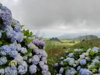 Miradouro do Pico do Carvão, São Miguel  &ndash; &copy; Monika Cortese (Eberhardt TRAVEL)