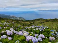 Miradouro do Corre Água, Pico 