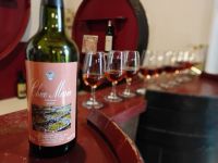 Weinprobe in Biscoitos, Terceira  &ndash; &copy; Monika Cortese (Eberhardt TRAVEL)