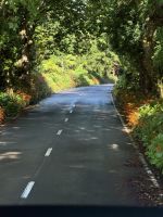 Grüne Straße - Horta - Azoren - Portugal.jpeg &ndash; &copy; Manuel González Urrutia (Eberhardt TRAVEL)