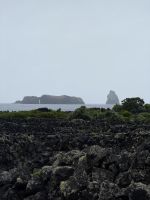 Vulkanlandschaft - Madalena - Azoren - Portugal.jpeg