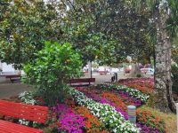 Largo do Pelourinho Garden Jardim Antero de Quental