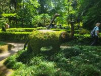 Terra-Nostra-Park &ndash; &copy; Celine Patzak (Eberhardt TRAVEL)