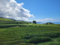 An der Küste von Praia das Milícias &ndash; &copy; Celine Patzak (Eberhardt TRAVEL)