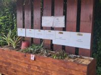 Ananasplantage in Ponta Delgada &ndash; &copy; Celine Patzak (Eberhardt TRAVEL)