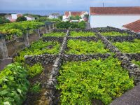 Weinmuseum von Biscoitos &ndash; &copy; Celine Patzak (Eberhardt TRAVEL)