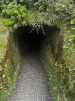 Tag 6 Inselrundfahrt Faial &ndash; &copy; Torsten Kettmann (Eberhardt TRAVEL)