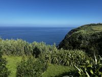 Tag 6 Inselrundfahrt Faial &ndash; &copy; Torsten Kettmann (Eberhardt TRAVEL)