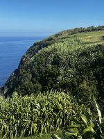 Tag 6 Inselrundfahrt Faial &ndash; &copy; Torsten Kettmann (Eberhardt TRAVEL)