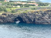 Tag 6 Inselrundfahrt Faial &ndash; &copy; Torsten Kettmann (Eberhardt TRAVEL)