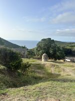 Tag 9 Inselrundfahrt Terceira &ndash; &copy; Torsten Kettmann (Eberhardt TRAVEL)