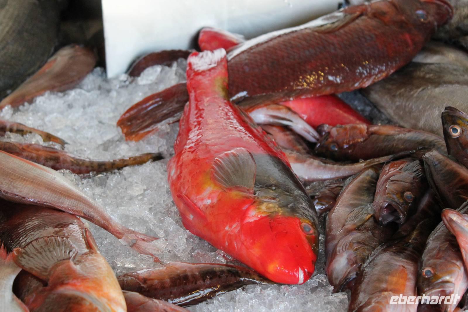Sao Miguel: Ponta Delgada - Markthalle - Papageifisch &ndash; &copy; Isabel Braksiek (Eberhardt TRAVEL)