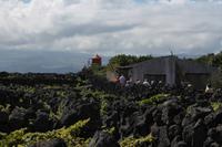 Pico: Weinanbau &ndash; &copy; Isabel Braksiek (Eberhardt TRAVEL)