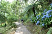 Sao Miguel: Furnas - Park Terra Nostra &ndash; &copy; Isabel Braksiek (Eberhardt TRAVEL)