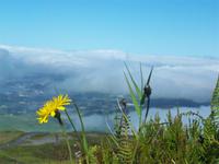 Blick auf Lagoa &ndash; &copy; Annette Lenz (Eberhardt TRAVEL)