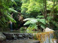Caldeira Velha &ndash; &copy; Annette Lenz (Eberhardt TRAVEL)