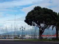 Horta &ndash; &copy; Annette Lenz (Eberhardt TRAVEL)
