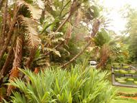 Azoren August 2014 073 &ndash; &copy; Barbara Werrmann (Eberhardt TRAVEL)