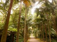 Azoren August 2014 087 &ndash; &copy; Barbara Werrmann (Eberhardt TRAVEL)