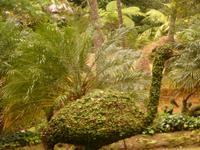 Azoren August 2014 089 &ndash; &copy; Barbara Werrmann (Eberhardt TRAVEL)